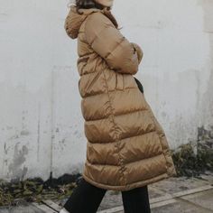 In Good Used Condition Fall Travel Puffer Outerwear, Fall Travel Puffer Jacket, Winter Travel Puffer Jacket, Beige Travel Outerwear For Fall, Everlane Winter Outerwear With Long Sleeves, Everlane Long Sleeve Winter Outerwear, Everlane Casual Everyday Outerwear, Brown Winter Travel Outerwear, Winter Travel Long Coat Outerwear