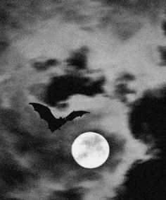 a black and white photo of a bat flying in front of the moon