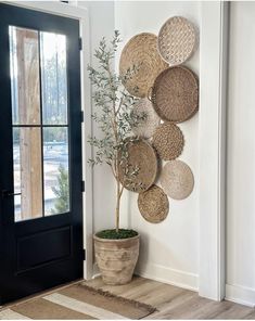 a potted plant in front of a door with wicker baskets hanging on the wall