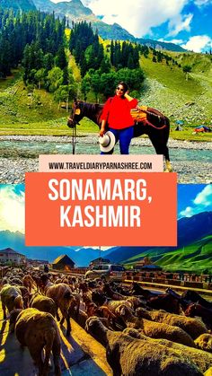 A complete travel guide for Sonamarg in Kashmir. This post covers everything you wanted to know about the meadow of gold in the valley of Kashmir. Kashmir Travel, Travel Infographic, Honeymoon Destination Ideas, Destination Ideas, Best Flights, Lifestyle Motivation