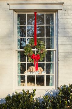 a dog is looking out the window with a wreath on it