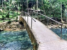 a wooden bridge over a river surrounded by lush green trees and palm trees in the background