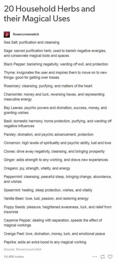 Herbs And Meanings, Subtle Witchcraft, Herb Meanings, Candle Magik, Cleansing Sage, Wicca Herbs, Herbs For Protection, Herbal Witch, Wicca Recipes