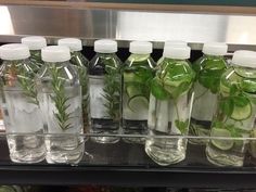 several bottles filled with water and plants in them