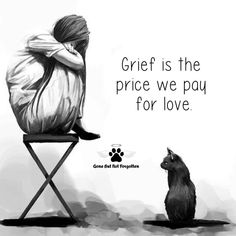 a man sitting in a chair next to a cat with the caption,'great is the price we pay for love '