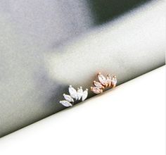 two small white and pink flowers sitting on top of a table