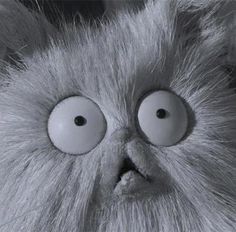 a close up of an evil looking cat with big eyes and fur on it's head