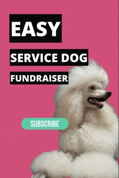 a white poodle sitting on top of a pink background with the words easy service dog fundraiser