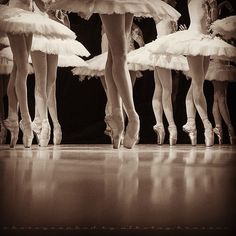 several ballerinas in white tutus are lined up