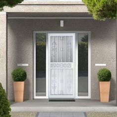 a white door with two planters in front of it