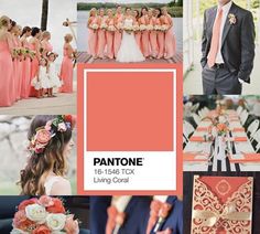 pantone's color of the year is coral, with peach and white accents