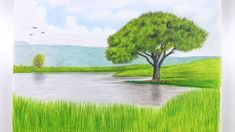 a drawing of a tree by the water