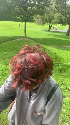 Ginger Hair With Dyed Ends, Red Short Fluffy Hair, Bright Red Hair Dye Ideas, Short Hair With Red Streaks, Red Tips Short Hair, Red Dyed Short Hair, Shirt Hair Color Ideas, Short Hair With Red Tips, Beautiful Hair Color Ideas Short Hair