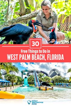 a woman sitting on top of a palm tree next to a bird in the water