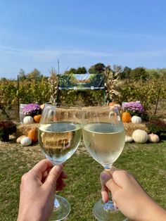 two people toasting wine glasses with the words 8 great wines & beverages in prince edward county