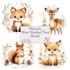 watercolor winter woodland forest animals