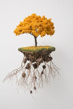 a tree with yellow leaves and roots growing out of it's base, against a white background