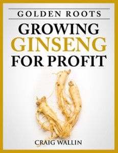 the book cover for golden roots growing ginseng for profits by craig wallin