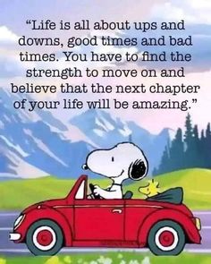 a cartoon dog driving a red car with the caption'life is all about ups and downs, god times and bad times you have to find the strength to move on and believe that the next character of your life will be