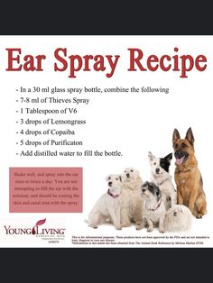 an advertisement for the young living ear spray recipe, featuring four dogs and one cat