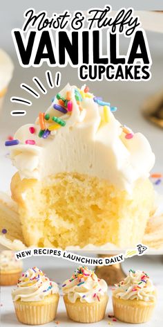 vanilla cupcakes with white frosting and sprinkles on the top