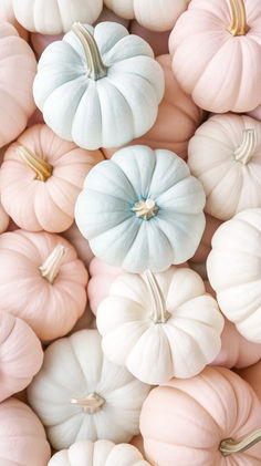 pastel colored pumpkins are arranged in rows