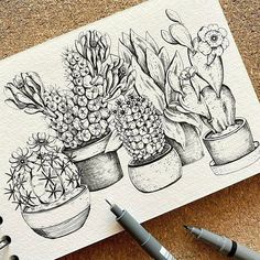 a drawing of cactuses and succulents on a piece of paper with markers