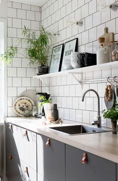 the kitchen is clean and ready to be used as a place for potted plants