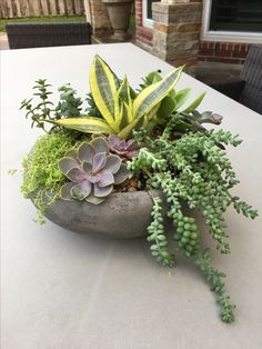 an arrangement of succulents and plants in a stone bowl on a table