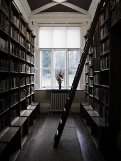 an empty library with bookshelves and stairs leading up to the second floor window