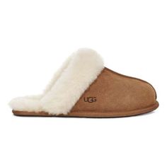 Women's UGG Scuffette II Slippers Ugg Slipper, Ugg Scuffette, Shoe Wishlist, Cute Slippers, Soft Slippers, Ugg Slippers, Shoe Inspo