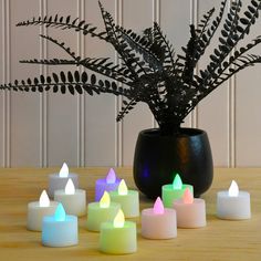 several lit candles sitting on a table next to a potted plant