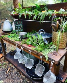 a wooden bench covered in plants and potted plants