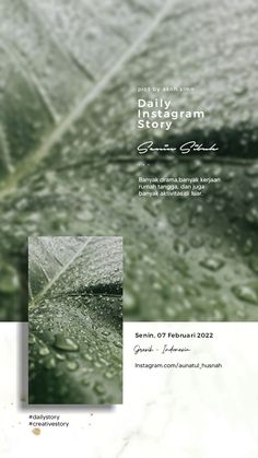 a brochure with water drops on it and the words, daily program story