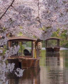 Japanese Park, Zen Interiors, Chinese Aesthetic, Parc D'attraction, Japan Art, Pretty Places