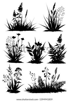 the silhouettes of plants and flowers on a white background, each with their own image