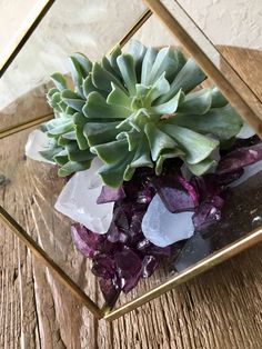 a glass vase filled with purple and green plants