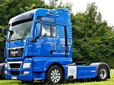 a blue semi truck parked on top of a lush green field with trees in the background