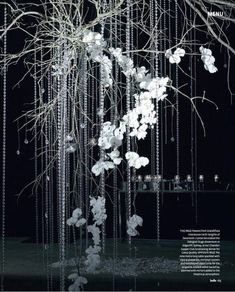 a tree with white flowers hanging from it's branches in the dark night sky