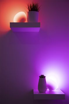 a white vase sitting on top of a shelf next to a purple light