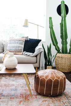 a living room filled with furniture and a large cactus plant in the middle of the room