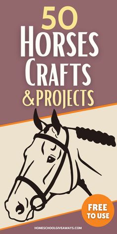 the cover of 50 horses crafts and projects