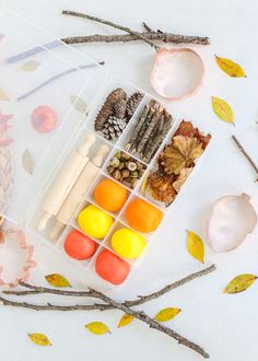 an assortment of candy and candies in a plastic container on a white surface surrounded by autumn leaves