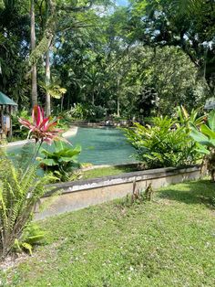 an outdoor swimming pool surrounded by lush green trees and plants on the side of it