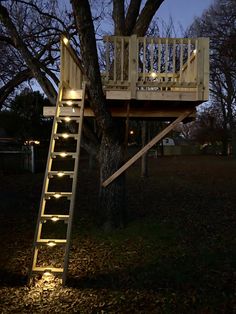 a tree house with stairs lit up at night