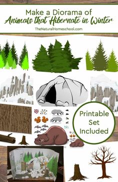 an animal themed poster with trees, rocks and other things to make it look like they are