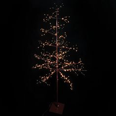 a lighted christmas tree in the dark