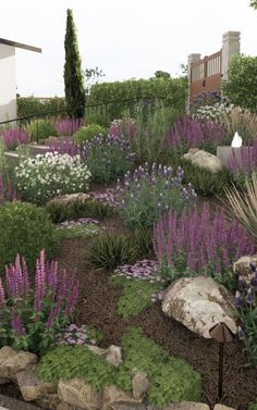 a garden with purple flowers and rocks