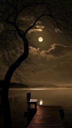 a bench sitting on top of a wooden pier under a moon filled sky at night