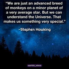 a quote from stephen houcking on the night sky with trees and stars in the background